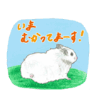ハムスターまりものもふもふスタンプ！（個別スタンプ：12）