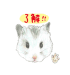 ハムスターまりものもふもふスタンプ！（個別スタンプ：14）