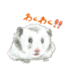 ハムスターまりものもふもふスタンプ！（個別スタンプ：19）