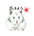 ハムスターまりものもふもふスタンプ！（個別スタンプ：21）