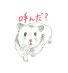 ハムスターまりものもふもふスタンプ！（個別スタンプ：26）