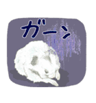 ハムスターまりものもふもふスタンプ！（個別スタンプ：36）