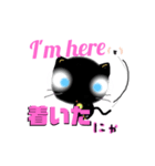 野良くろ（個別スタンプ：16）