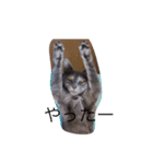 リリブルスタンプ（個別スタンプ：8）