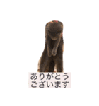 リリブルスタンプ（個別スタンプ：10）