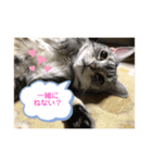 バニラくんの1日＆時々ショコラちゃん（個別スタンプ：4）
