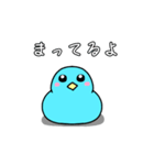 あおヒヨ2（個別スタンプ：1）