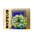 おしゃれ花の写真③（個別スタンプ：1）