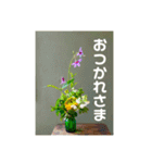 おしゃれ花の写真③（個別スタンプ：2）