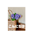 おしゃれ花の写真③（個別スタンプ：5）