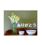 おしゃれ花の写真③（個別スタンプ：9）