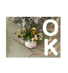 おしゃれ花の写真③（個別スタンプ：13）