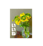 おしゃれ花の写真③（個別スタンプ：15）