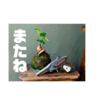 おしゃれ花の写真③（個別スタンプ：16）