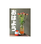 おしゃれ花の写真③（個別スタンプ：18）