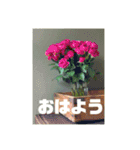 おしゃれ花の写真③（個別スタンプ：19）
