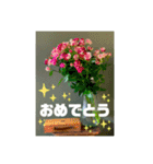 おしゃれ花の写真③（個別スタンプ：21）