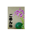 おしゃれ花の写真③（個別スタンプ：23）