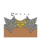 RevengeCats1(創作)（個別スタンプ：1）