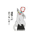 RevengeCats1(創作)（個別スタンプ：8）