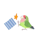 ★ラブバード（こざくら＆ボタンインコ）1（個別スタンプ：15）