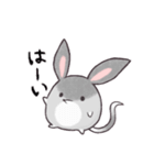みみたろうスタンプ（個別スタンプ：1）