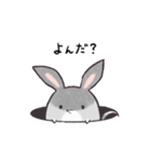 みみたろうスタンプ（個別スタンプ：22）