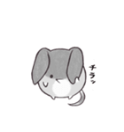 みみたろうスタンプ（個別スタンプ：25）