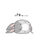 みみたろうスタンプ（個別スタンプ：36）
