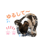 ブルート軍団 チャーリー（個別スタンプ：4）