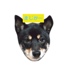ちっちゃなともだち（個別スタンプ：4）