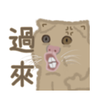 異次元生き物6（個別スタンプ：31）