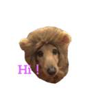 お犬さんのスタンプ（個別スタンプ：3）