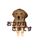 もふもふ一（個別スタンプ：8）