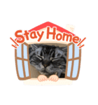 パール様（個別スタンプ：3）