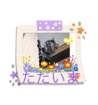 パール様（個別スタンプ：6）