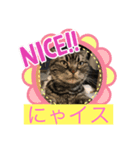 パール様（個別スタンプ：7）