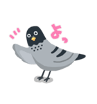 のんびり鳩スタンプ（個別スタンプ：1）