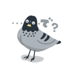 のんびり鳩スタンプ（個別スタンプ：10）