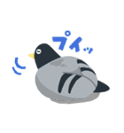 のんびり鳩スタンプ（個別スタンプ：13）