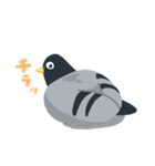 のんびり鳩スタンプ（個別スタンプ：14）