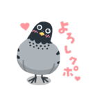 のんびり鳩スタンプ（個別スタンプ：19）