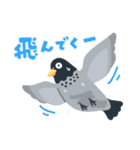 のんびり鳩スタンプ（個別スタンプ：20）