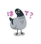 のんびり鳩スタンプ（個別スタンプ：21）