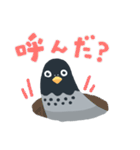 のんびり鳩スタンプ（個別スタンプ：23）