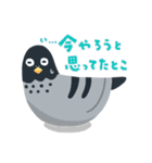 のんびり鳩スタンプ（個別スタンプ：28）