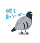 のんびり鳩スタンプ（個別スタンプ：29）