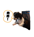 大事な時間（個別スタンプ：3）