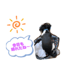 大事な時間（個別スタンプ：7）
