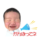 センノスケ（個別スタンプ：16）